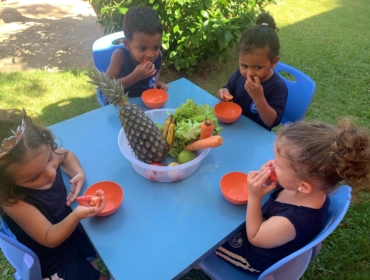 Imagem do WhatsApp de 2025-06-18 à(s) 14.46.03_474a13ef