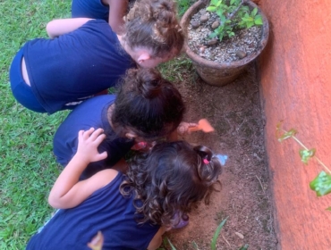 Imagem do WhatsApp de 2025-06-18 à(s) 14.46.33_72dfee8d